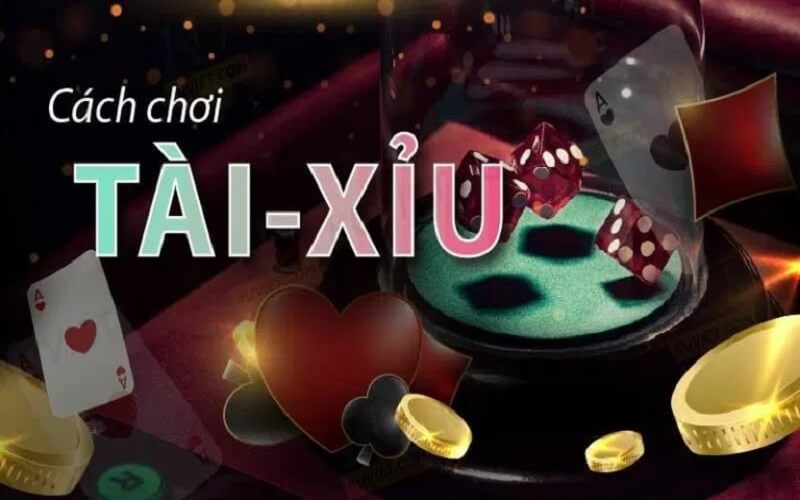 Chiêm nghiệm “soi cầu” - mẹo chơi tài xỉu bất bại