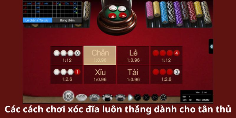 Các cách chơi xóc đĩa luôn thắng dành cho tân thủ