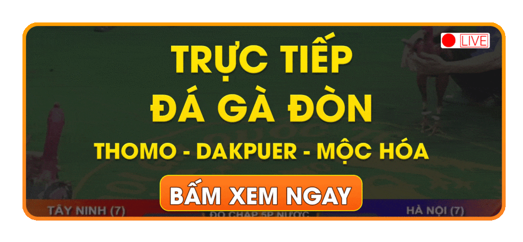 truc-tiep-da-ga-don