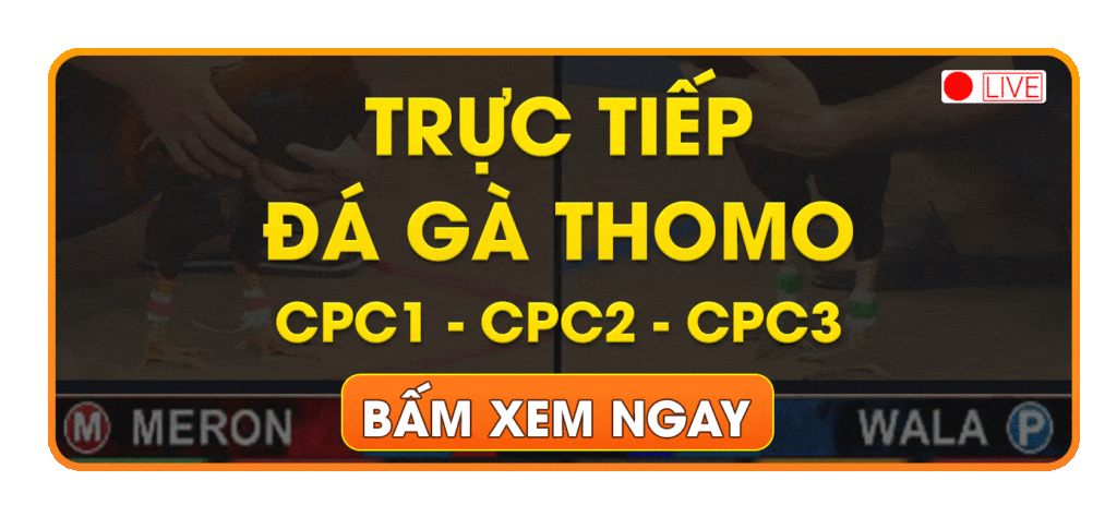 truc-tiep-da-ga-thomo